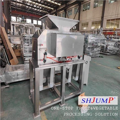 Mașină de curățat și storcat